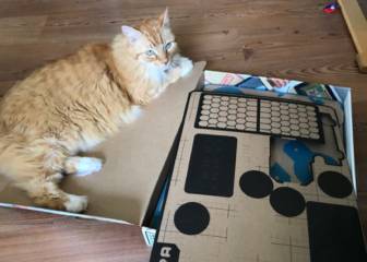 Nintendo Labo ya está aquí y quien más lo va a agradecer es tu gato