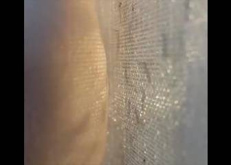 Este impactante vídeo te hará entender por qué nos pican los mosquitos