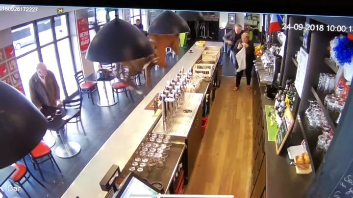 Un caballo irrumpe al galope en un bar de Francia y causa el pánico a su alrededor