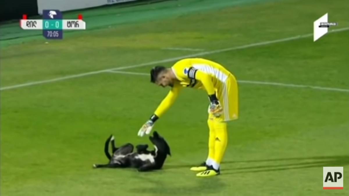 Un perro interrumpe un partido de fútbol e intenta que el portero le rasque la barriga