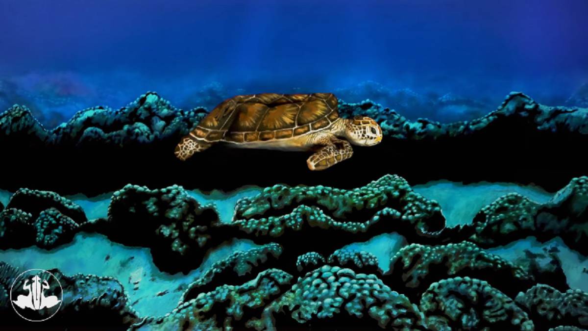 ¿Tortuga o mujer? La ilusión óptica de 'bodypainting' que impacta a las redes