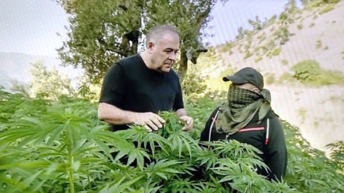 Ferreras se lleva su 'Más periodismo' a una plantación de marihuana y se convierte en meme