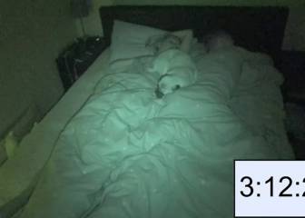 Cuando dormir con tu mascota se convierte en una auténtica pesadilla