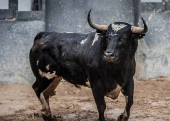 RTVE se disculpa tras llamar 'tonto nuevo' a los contrarios a la tauromaquia en un reportaje