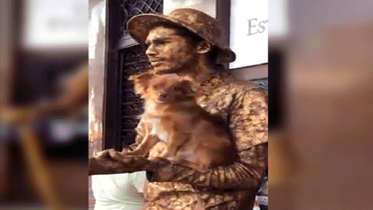 ¡Todo un profesional! El can que triunfa como estatua viviente junto a su dueño