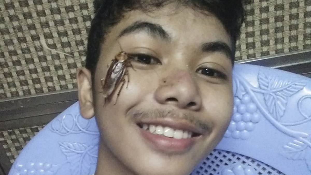 ‘Cockroach challenge’, el nuevo y repugnante reto viral que arrasa en redes
