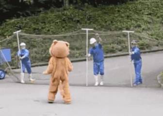 Los zoos japonenes y su surrealista práctica para prevenir situaciones de emergencia