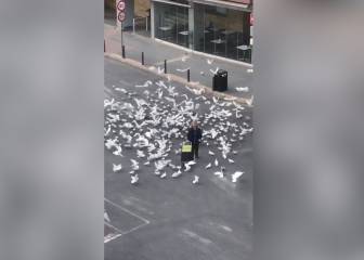 ¡La persiguieron por comida!: el tenebroso momento que vivió una mujer en una plaza