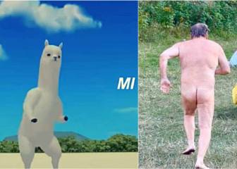 Lo más visto en redes: del último éxito de TikTok al nudista y el jabalí