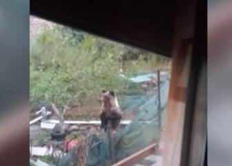 Una familia recibe inesperada visita en el jardín de su casa