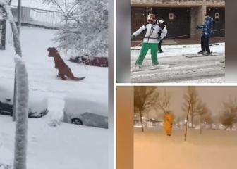 Un dinosaurio, Pikachu y todo tipo de trineos: la mejor colección de la nevada en Madrid
