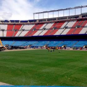 El césped del Calderón estará en condiciones para la final de Copa El césped del Calderón estará en condiciones para la final de Copa