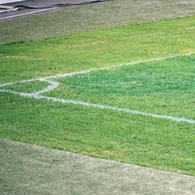 El césped de Bucarest provoca el pánico en el FC Barcelona El césped de Bucarest provoca el pánico en el FC Barcelona