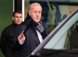 Vicente del Bosque irá a Catar con los que llevará a París Vicente del Bosque irá a Catar con los que llevará a París