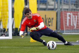 Los internautas tampoco hubieran convocado a Casillas