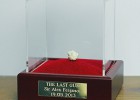 Subastado el último chicle que masticó Ferguson en Old Trafford