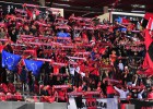 El Mallorca se gastará 15.000 euros en entradas para sus socios