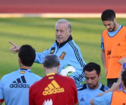 La Federación quiere darle dos años más a Vicente del Bosque La Federación quiere darle dos años más a Vicente del Bosque