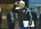 Sabella: