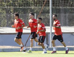 Mario estará dos meses de baja