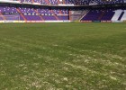 Navarro: