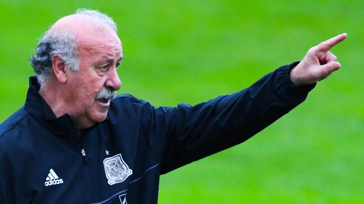 Del Bosque: "We chose Bosnia as they're similar to the Czechs"