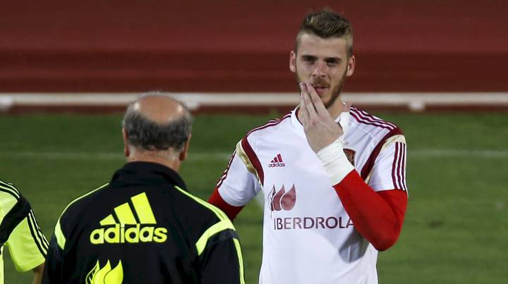 Vicente Del Bosque: "I have no reason to doubt De Gea"