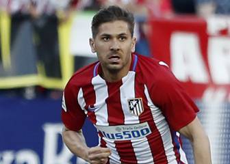 Cerci: