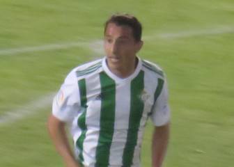 Guardado: