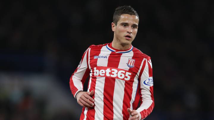 El centrocampista holandés del Stoke City, Ibrahim Afellay, durante un encuentro.