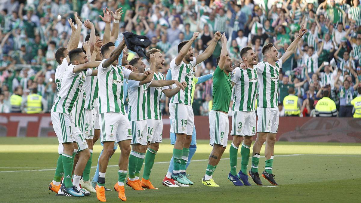 Camiseta Real Betis Feddal Camiseta Real Betis Feddal