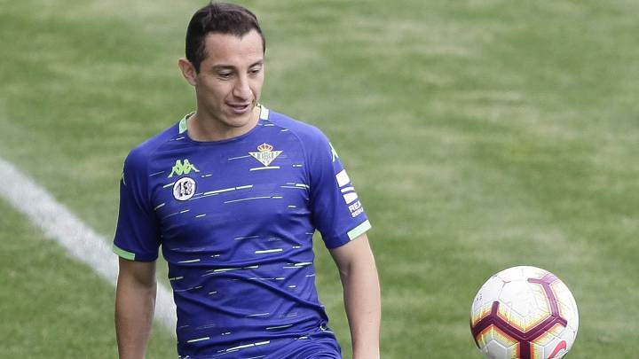 El Betis perderá posiblemente ante el Valladolid a Joaquín y Cristian Tello. Andrés Guardado no jugará pero está más cerca de volver tras ejercitarse.