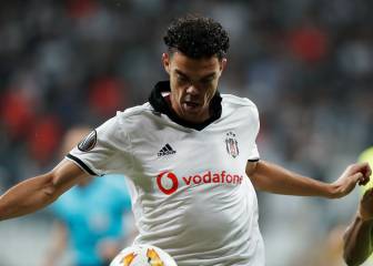 Pepe and Besiktas part company by