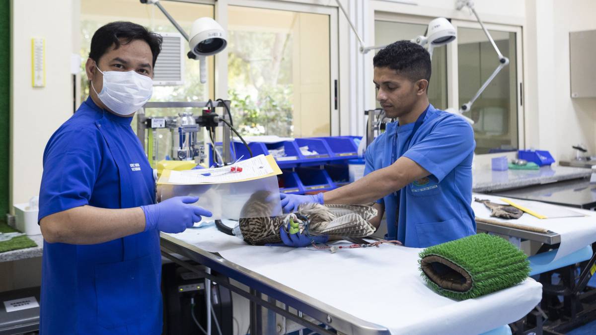 El hospital de Halcones es el orgullo de Abu Dhabi