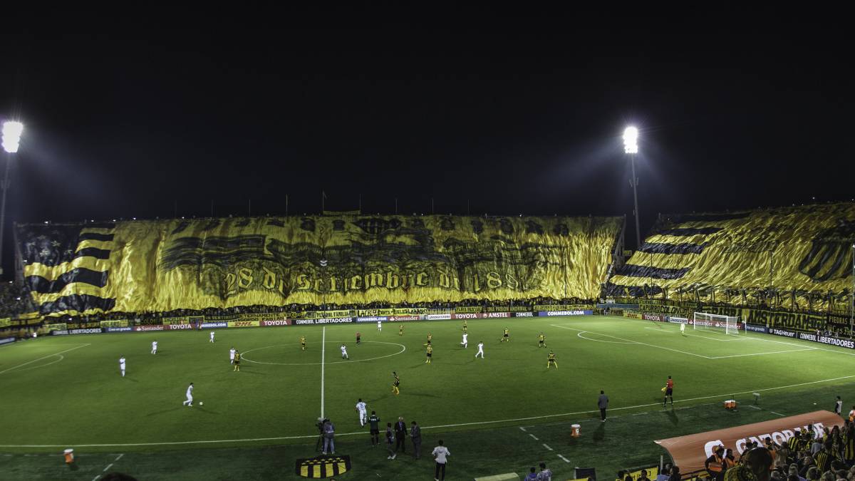 La CONMEBOL prohíbe las banderas gigantes