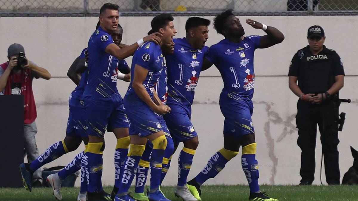 Delfín acaricia el pase