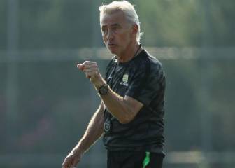 Van Marwijk, nuevo seleccionador de Emiratos Árabes Unidos