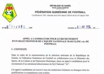 Guinea busca seleccionador por internet: los requisitos que pide