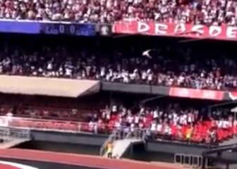 Drama en Brasil: un fan se precipita al vacío desde la grada