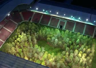 Lo nunca visto: ¡Un bosque dentro de un estadio de fútbol!