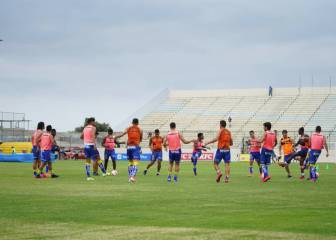 Delfín es semifinalista