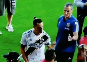 Lamentable: el feo gesto que Ibra le hizo a un hincha rival
