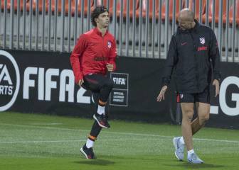 João Félix returns from ankle injury