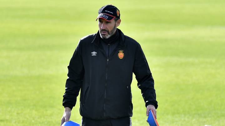 Vicente Moreno, en un entrenamiento con el Mallorca.