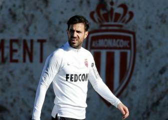 Fabregas:
