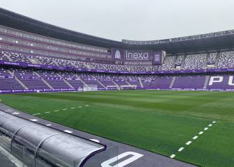 El césped de Zorrilla ya está casi perfecto