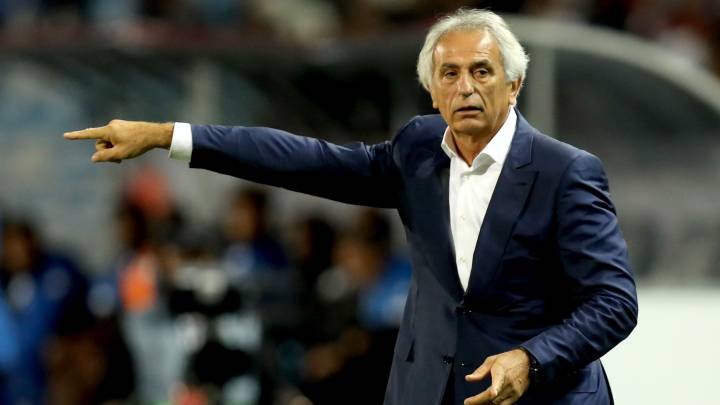 Halilhodzic