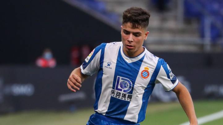 Nico Melamed
