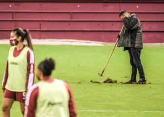 Green Natur se encargará de renovar Las Gaunas