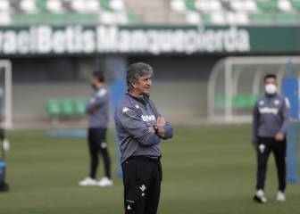 Pellegrini: